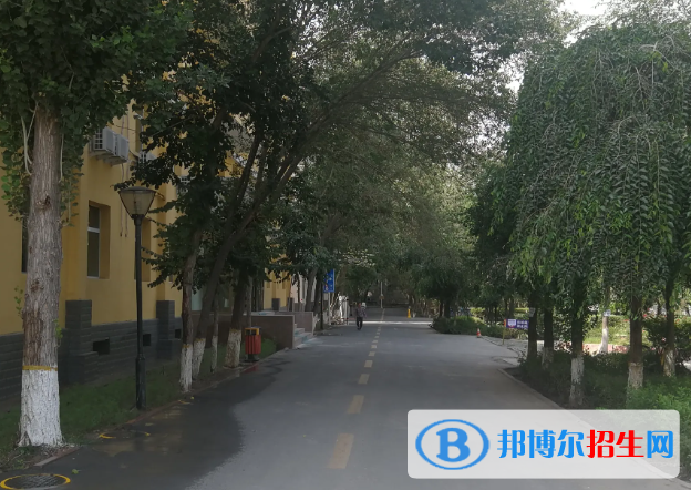 新疆林業(yè)學校怎么樣、好不好(2023參考)
