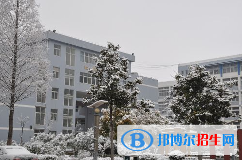 界首中學2022錄取分數線（2023參考）