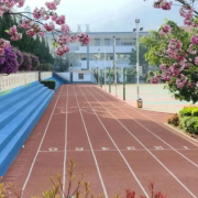 云龍縣民族職業(yè)高級中學