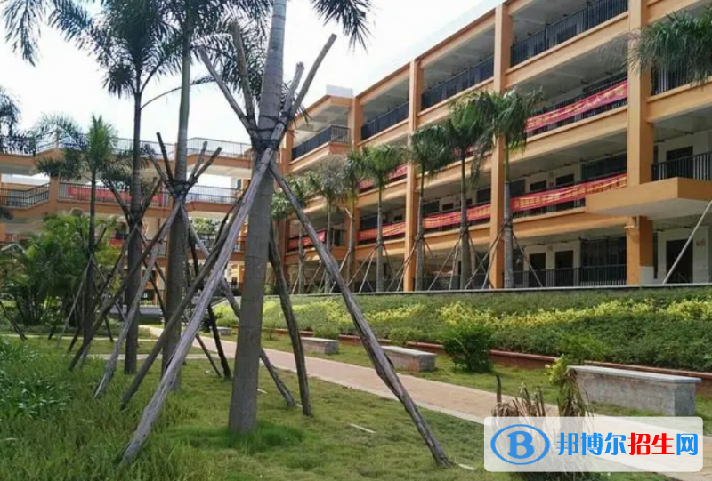 2023澄邁縣第二中學(xué)招生計(jì)劃 招生人數(shù)是多少(附要求、條件、對(duì)象)