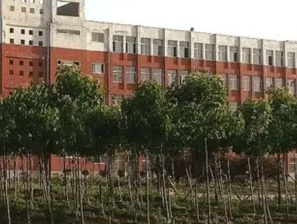 2023周口市聯(lián)營職業(yè)中等專業(yè)學(xué)校招生計(jì)劃 招生人數(shù)是多少(附要求、條件、對象)