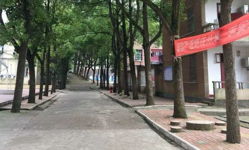 2023懷化民辦航空學校有哪些 懷化民辦航空學校名單一覽表