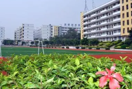 2023陽江公辦衛(wèi)生學校有哪些 陽江公辦衛(wèi)生學校名單一覽表
