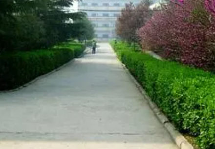 2023焦作民辦機電學(xué)校有哪些 焦作民辦機電學(xué)校名單一覽表