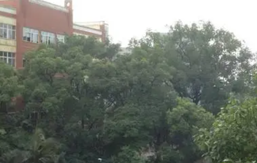 2023瀘州民辦廚師學校有哪些 瀘州民辦廚師學校名單一覽表