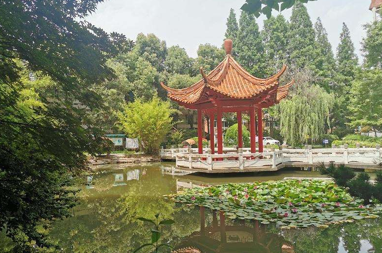 南京市秦淮中學(xué)地址，乘車路線