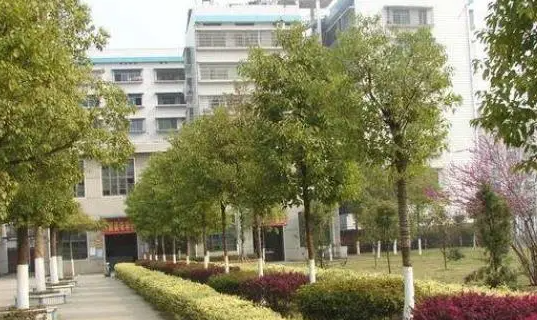 2023臨沂護(hù)理學(xué)校有哪些 臨沂護(hù)理學(xué)校名單一覽表