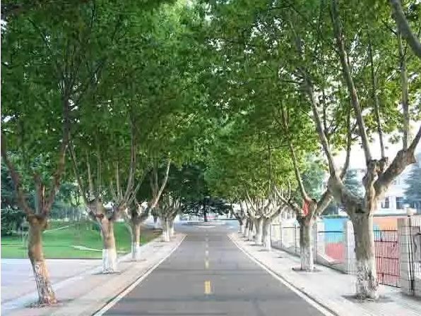 秦淮中學(xué)地址，乘車路線