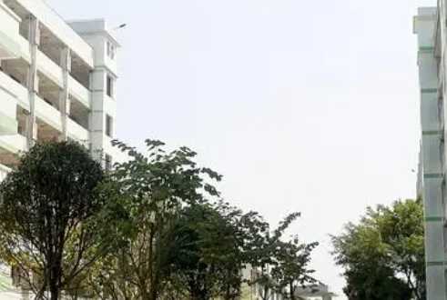 廣東2023年初中畢業(yè)可以去讀什么中專學(xué)校