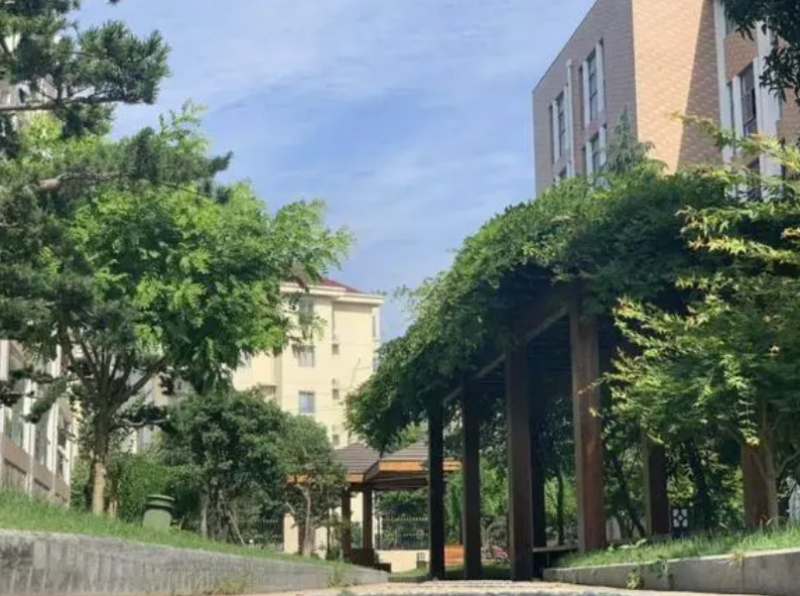 樂清國際外國語學校怎么樣、好不好
