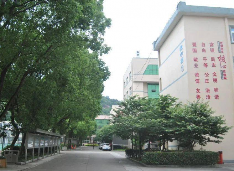 蒼南巨人中學怎么樣、好不好
