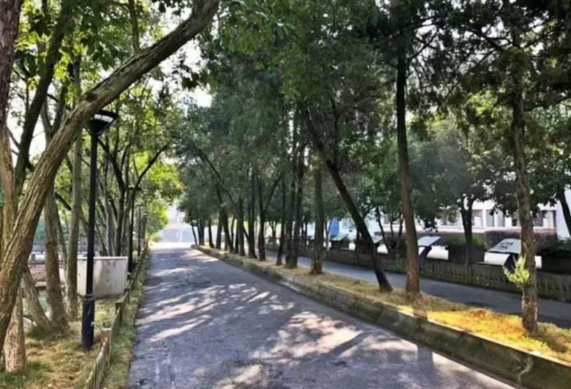 義烏市上溪中學(xué)地址，乘車路線
