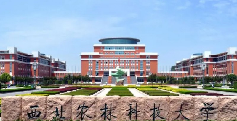 西北農(nóng)林科技大學評價怎么樣,學校好不好