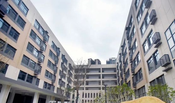 2023湛江經(jīng)濟技術(shù)開發(fā)區(qū)一中錄取分數(shù)線(2024年參考)