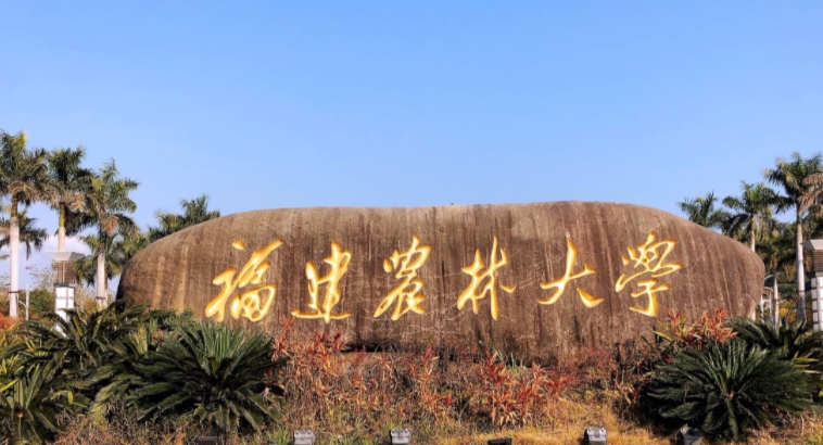 在福建高考555分算什么水平（近三年）福建高考555分能上的大學 