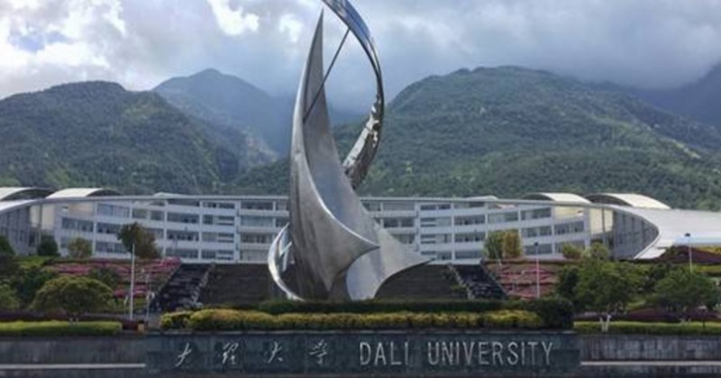 2023大理大學高考錄取分數(shù)線是多少（2024參考）
