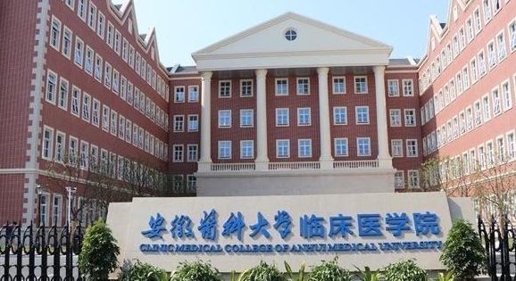 2023安徽醫(yī)科大學臨床醫(yī)學院高考錄取分數(shù)線是多少（2024參考）