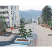 玉溪市民族中學