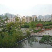 昭通市實驗中學