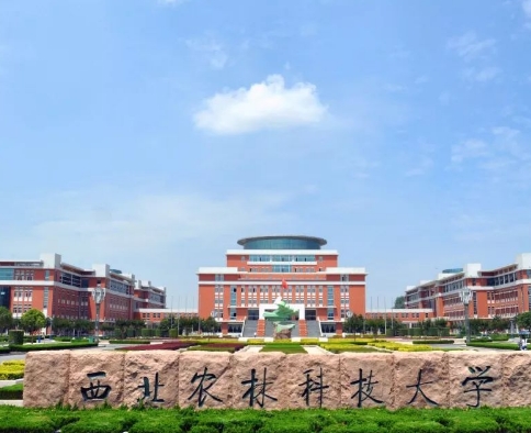 2024年西北農(nóng)林科技大學(中外合作)多少錢