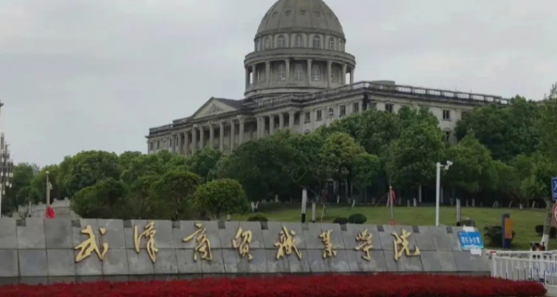 2024武漢商貿(mào)職業(yè)學(xué)院專業(yè)排行榜 