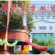 保定東方雙語(yǔ)學(xué)校