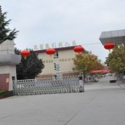 西安市高陵區(qū)第一中學