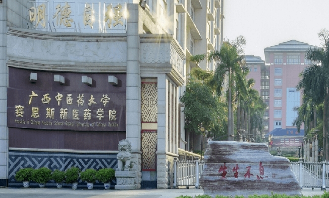 廣西中醫(yī)藥大學賽恩斯新醫(yī)藥學院高考錄取分數(shù)線是多少（2024參考）