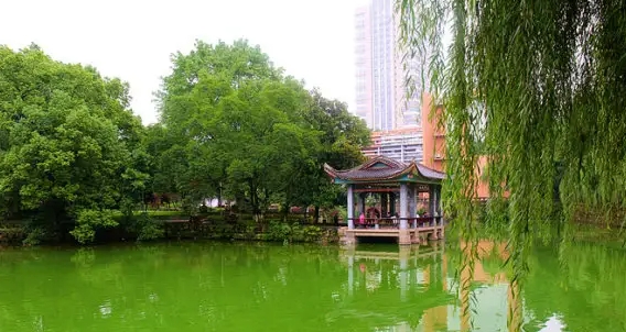 高考志愿填報(bào)錄取批次是什么意思？?？聘呖贾驹柑顖?bào)技巧