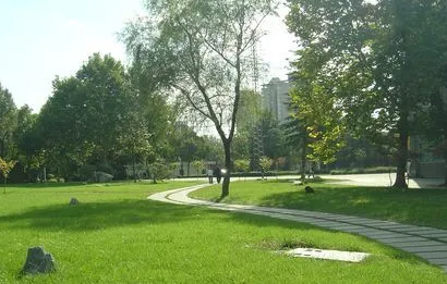 2024年河南高考志愿是平行志愿嗎？附錄取規(guī)則