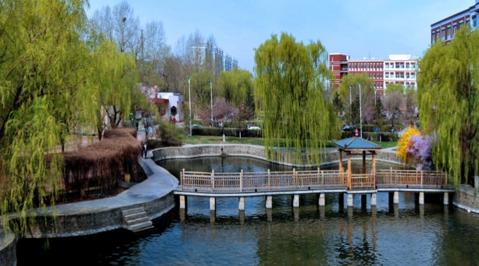上海高考445分能上什么大學（2024年參考）