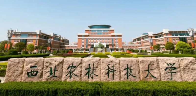 云南高考566分能上什么大學(xué)（2024年參考）