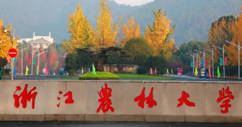 上海高考481分能上什么大學(xué)（2024年參考）