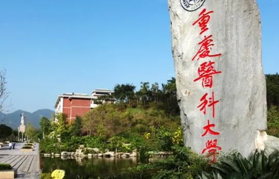 云南高考551分能上什么大學（2024年參考）