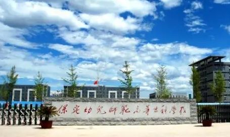保定幼兒師范高等?？茖W(xué)校中外合作辦學(xué)專業(yè)一覽 （2024）