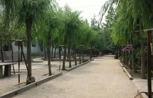 行唐曙光中學(xué)怎么樣、好不好
