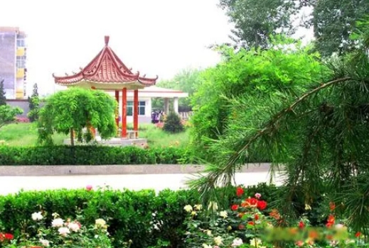靈壽護駕疃高級中學(xué)怎么樣、好不好