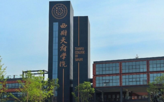 西南財經(jīng)大學天府學院藝術類學費（2024）