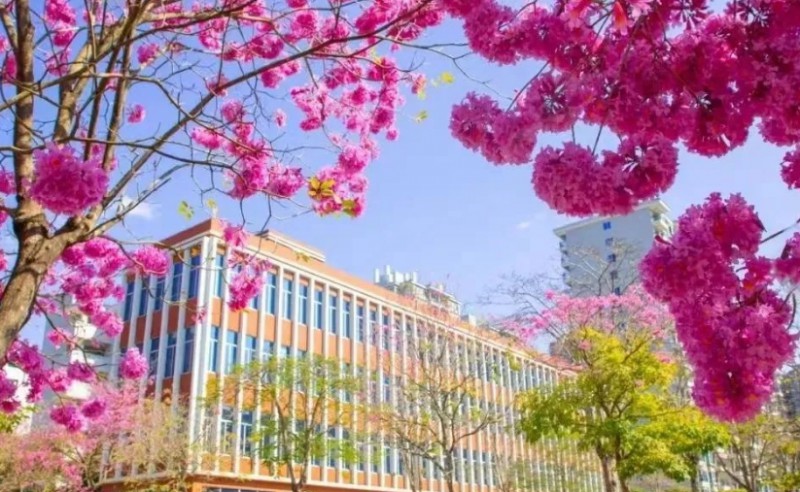 2024廣州涉外經(jīng)濟職業(yè)技術(shù)學(xué)院中職部招生計劃 招生人數(shù)是多少(附要求、條件、對象)