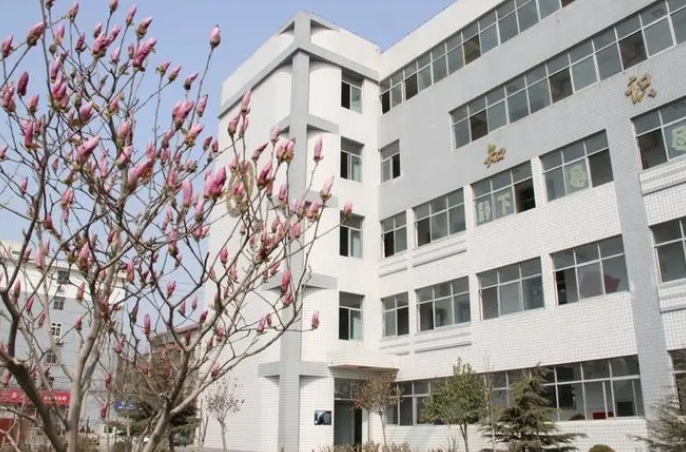 2024邢臺市第三中學招生計劃 招生人數(shù)是多少(附要求、條件、對象)