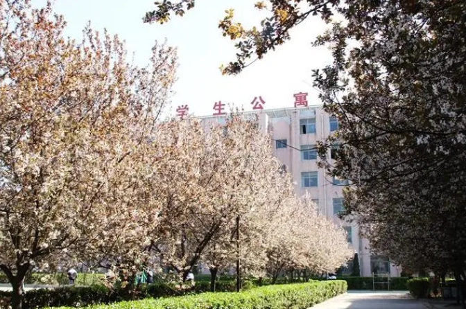 邢臺市第三中學(xué)地址，乘車路線