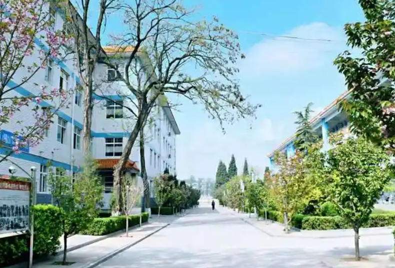 2025保定市徐水區(qū)鞏固莊中學多少錢(學費明細)