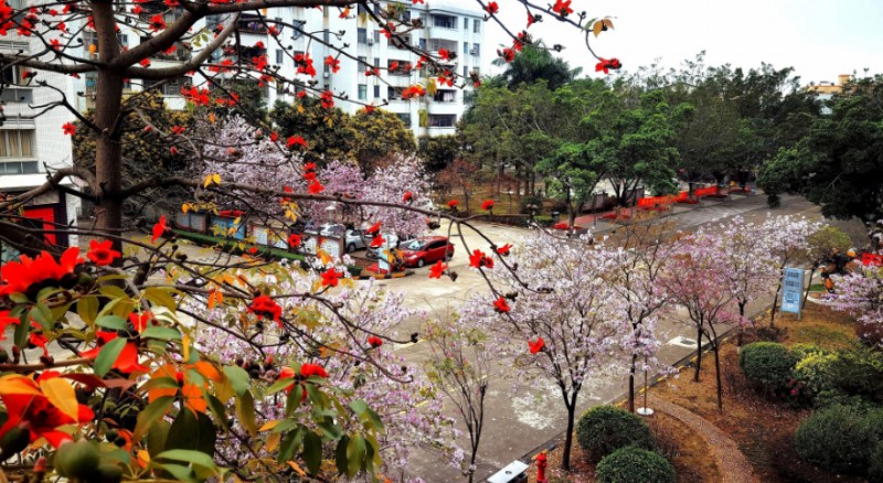 佛山市南海區(qū)理工職業(yè)技術(shù)學(xué)校招生簡章2025年