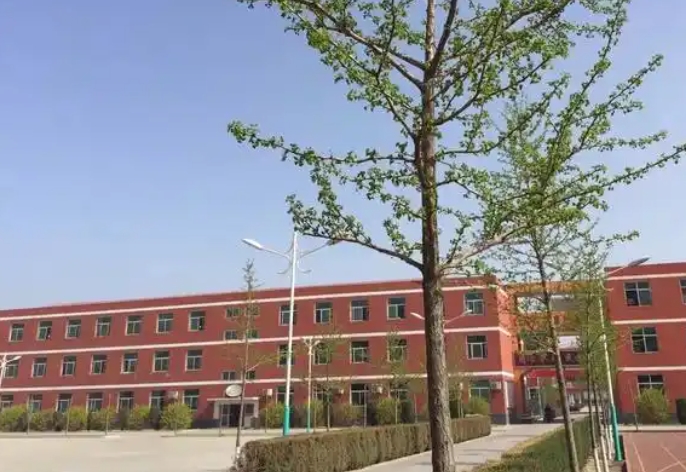 2025保定市徐水天源學(xué)校招生計(jì)劃 招生人數(shù)是多少(附要求、條件、對(duì)象)