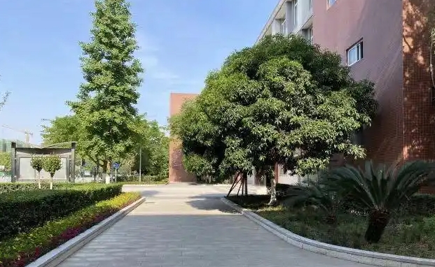 新津?qū)嶒灨咧械刂?，乘車路線