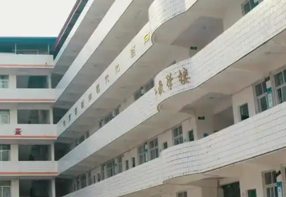 三星中學(xué)招生簡章2025年