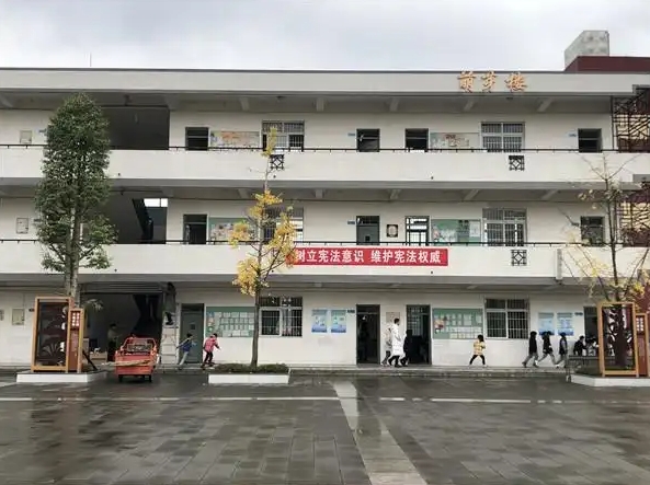 成都市青白江區(qū)龍王中學(xué)招生簡章2025年