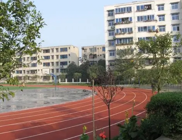 2025四川成都市第二十四中學(xué)招生計(jì)劃 招生人數(shù)是多少(附要求、條件、對(duì)象)