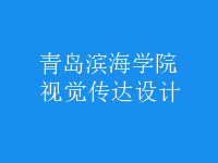 視覺傳達(dá)設(shè)計(jì)