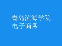 電子商務(wù)